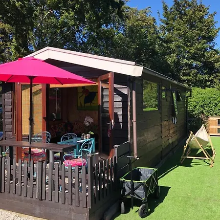Camping Gezellig Chalet Op Loopafstand Het Strand, Bos En Duinen In