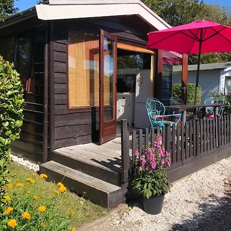 Gezellig Chalet Op Loopafstand Het Strand, Bos En Duinen In Camping *