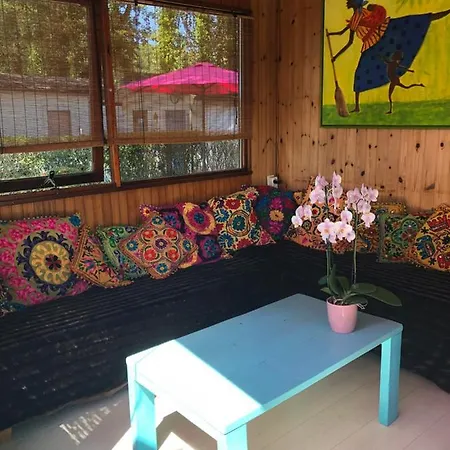Gezellig Chalet Op Loopafstand Het Strand, Bos En Duinen In