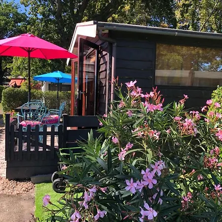 Gezellig Chalet Op Loopafstand Het Strand, Bos En Duinen In Camping Rockanje