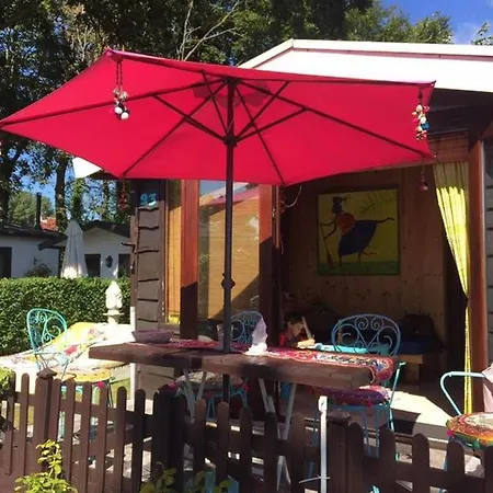 Camping Gezellig Chalet Op Loopafstand Het Strand, Bos En Duinen In